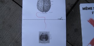 Victoire : la Direction de l’UNIL recule sur les préalables !
